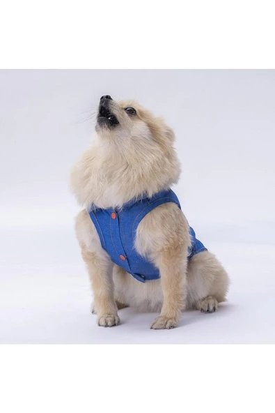 Denim Look Kedi Köpek Gömleği - Kedi Köpek Kıyafeti - 2