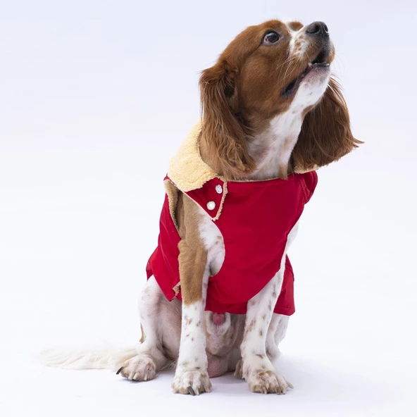 PawStar Kırmızı Yukon Kolsuz Yelek Küçük ve Orta Irk - 3