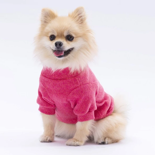 PawStar Pembe Merino Sweat Küçük ve Orta Irk - 3