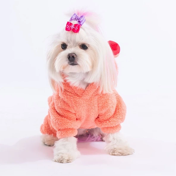 PawStar Somon Koala Küçük Irk Tulum - 3