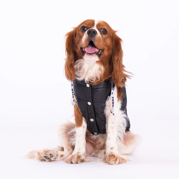 PawStar Siyah Railway Küçük ve Orta Irk Yelek - 3