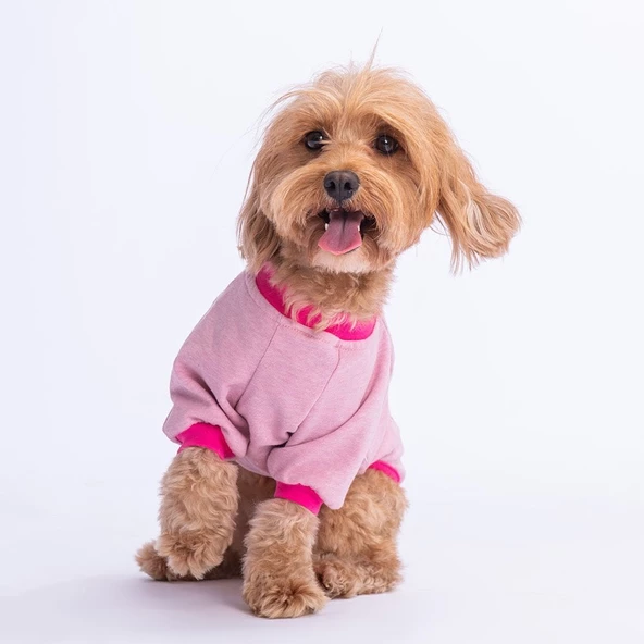 PawStar Pembe Bone Hunter Sweat Küçük ve Orta Irk - 2