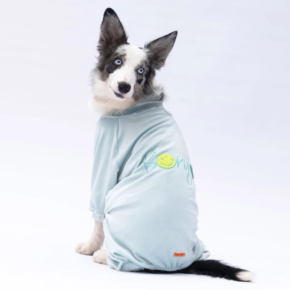 PawStar Mint Angers Büyük Irk Tulum ürün görseli