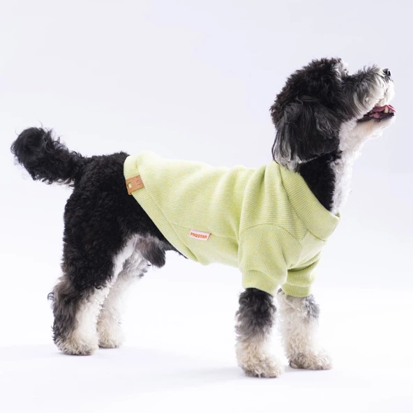 PawStar Sarı Merino Sweat Küçük ve Orta Irk - 2