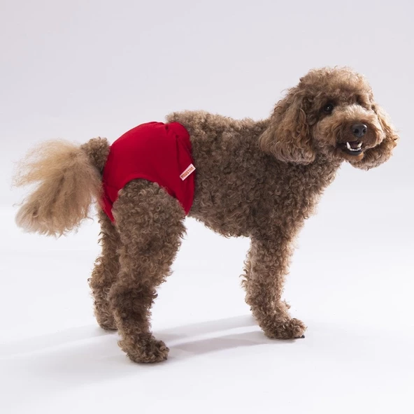 PawStar Düz Renkler 1 Çamaşır (Paket de Farklı  Renkte 3 Adet Bulunur) - Resim 3