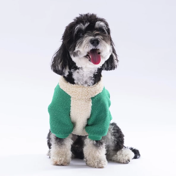 PawStar Yeşil Alaska Sweat Küçük ve Orta Irk - Resim 2