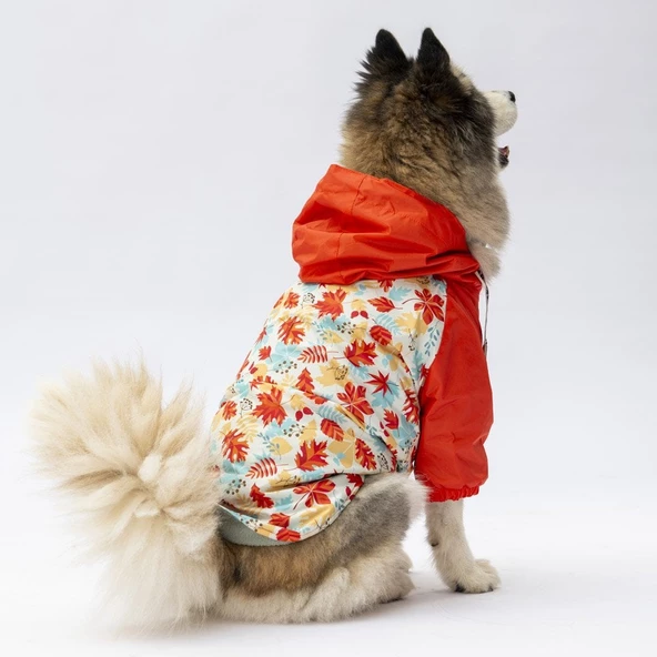 PawStar Ottawa Büyük Irk Yağmurluk - Resim 2