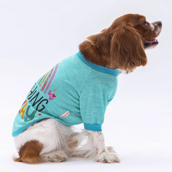 PawStar Mint Everything Will Be Okay Küçük Irk Sweat - 3
