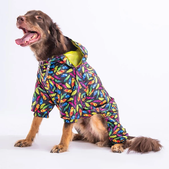 PawStar Plumis  Büyük Irk Yağmurluk - 3