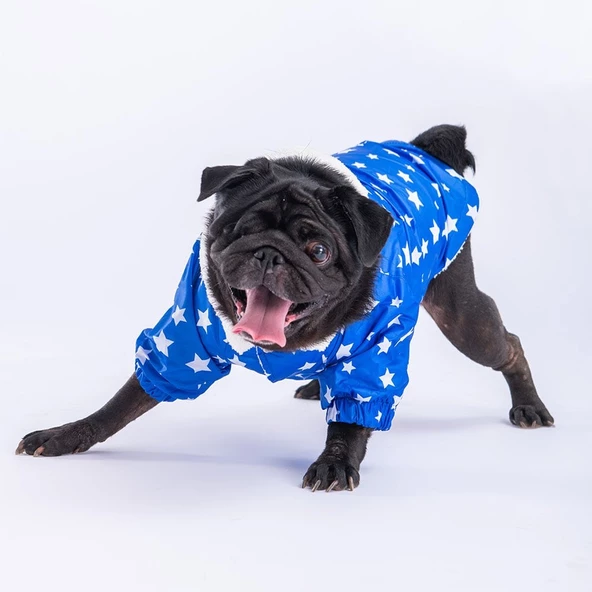 PawStar Mavi Stars Yağmurluk Küçük ve Orta Irk - 2