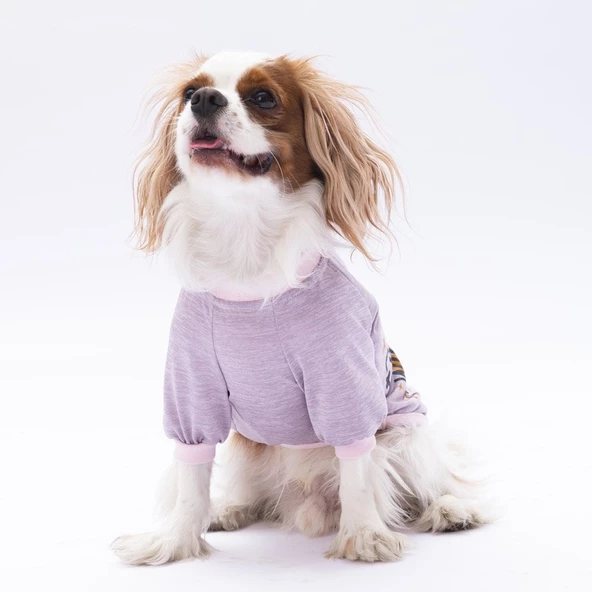 PawStar Lila Everything Will Be Okay Küçük Irk Sweat - 2