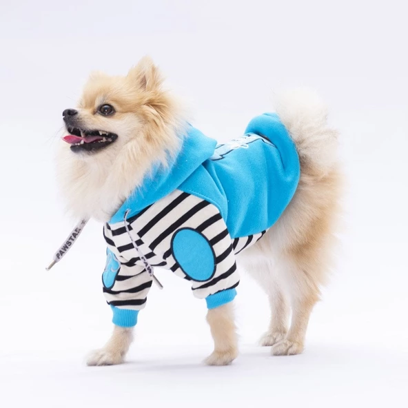 PawStar Turkuaz Lucky Club Hoodie Küçük ve Orta Irk - Resim 2
