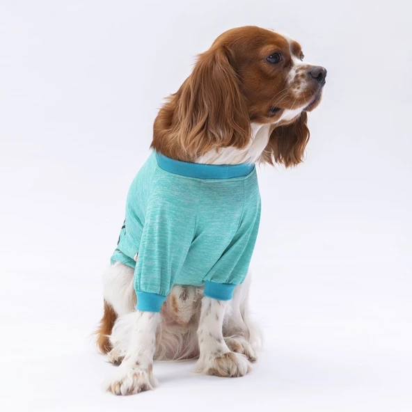 PawStar Mint Everything Will Be Okay Küçük Irk Sweat - 2