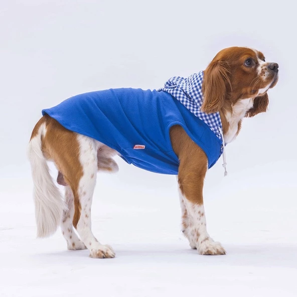 PawStar Mavi Gingham Kapşonlu Polo T-Shirt - Resim 3