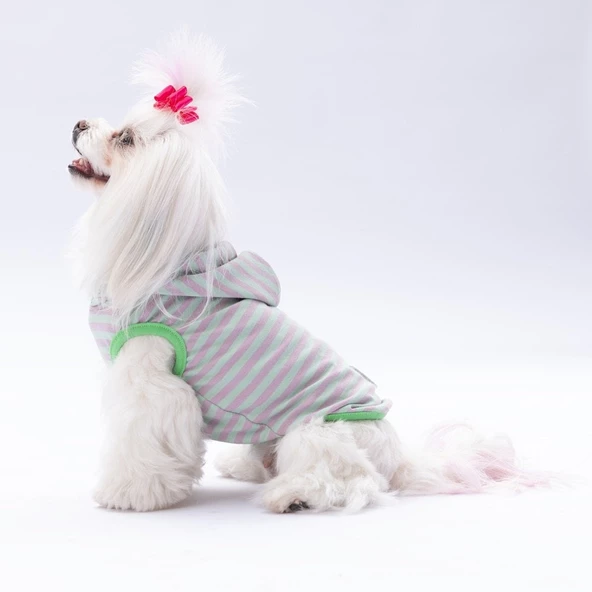 PawStar Mint Sunny Kapşonlu T-Shirt - 2