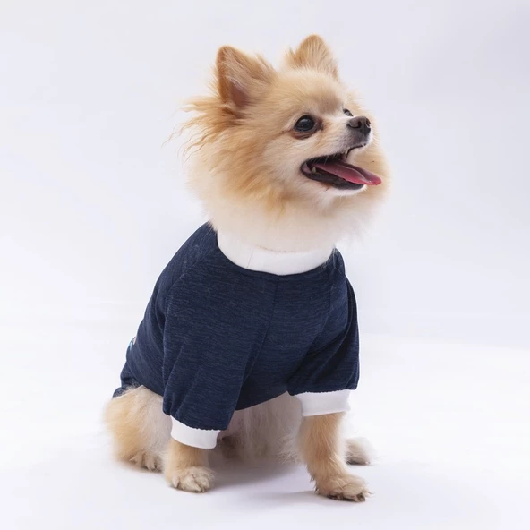 PawStar Lacivert Shine Küçük Irk Sweat - 2