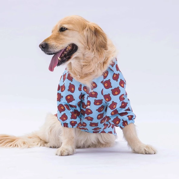 PawStar Bear Desenli Büyük Irk Gömlek - 2