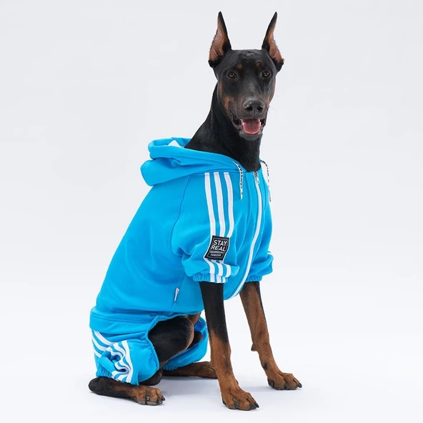 PawStar Turkuaz Tuta Büyük Irk Tulum - 2