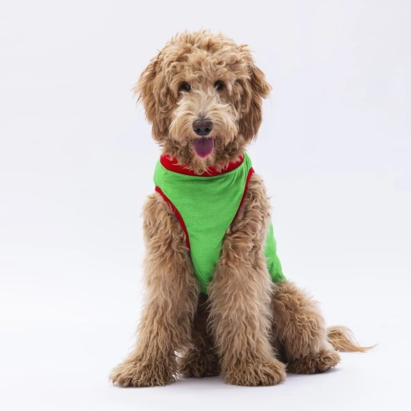 PawStar Yeşil Summer Büyük Irk T-Shirt - Resim 2