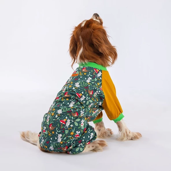 PawStar Mice Tulum - 2