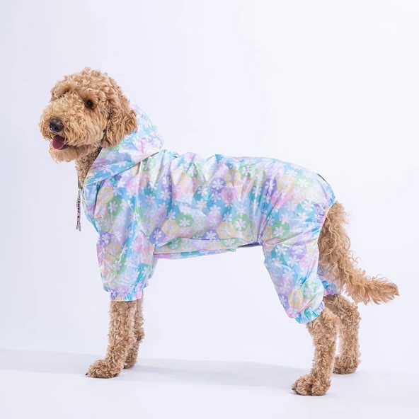 PawStar Flores  Büyük Irk Yağmurluk - 2