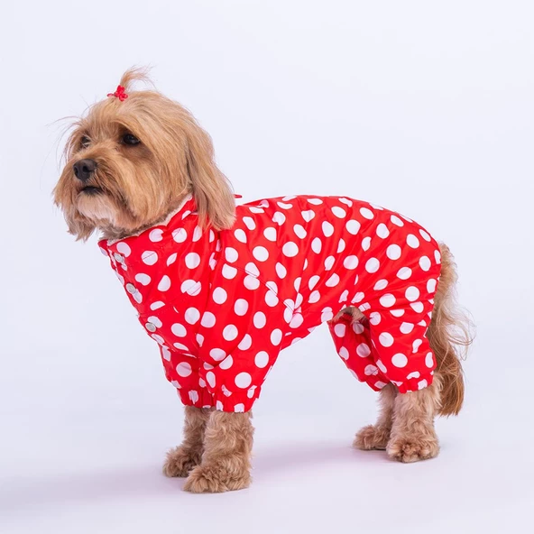 PawStar Kırmızı Puantiyeli Tulum Yağmurluk Küçük ve Orta Irk - 4