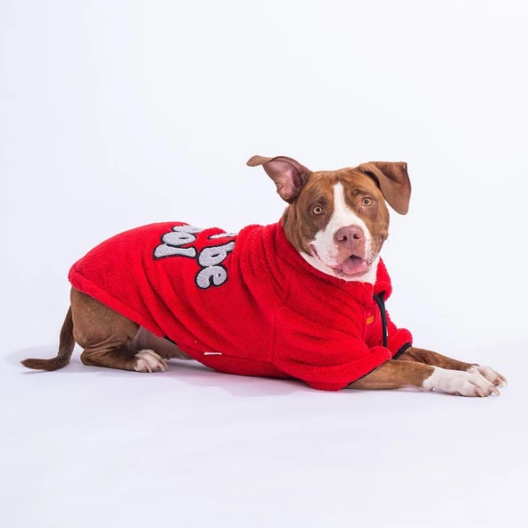 PawStar Kırmızı Just Be Cool Büyük Irk Sweat - 2