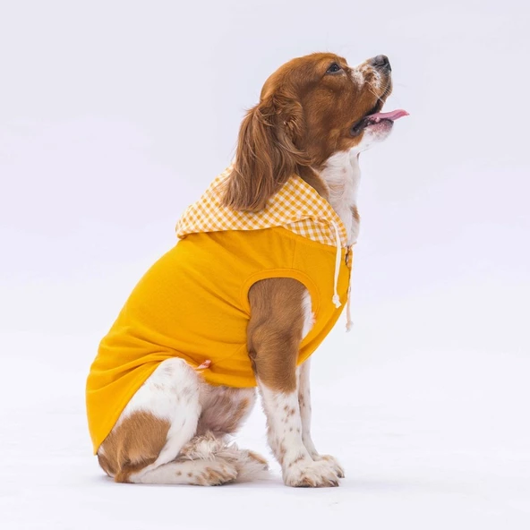 PawStar Sarı Gingham Kapşonlu Polo T-Shirt - 3