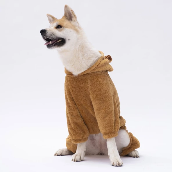 PawStar Kahverengi Koala Büyük Irk Tulum - Resim 3