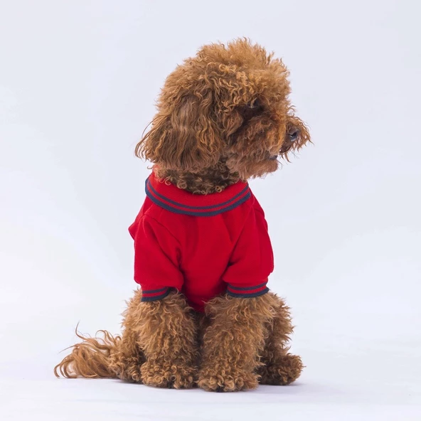 PawStar Kırmızı Marine Polo Yaka T-Shirt - 2