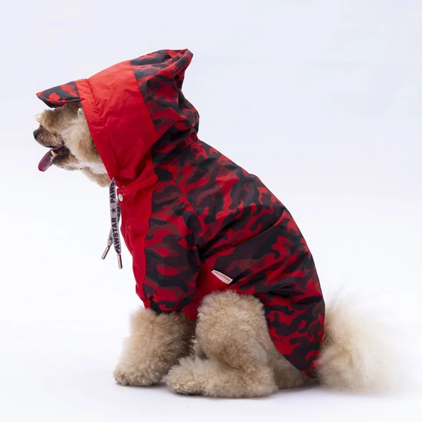 PawStar Kırmızı Dijon Yağmurluk Küçük ve Orta Irk - 4