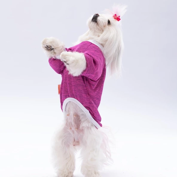 PawStar Fuşya Fun Day Küçük Irk Sweat - 2