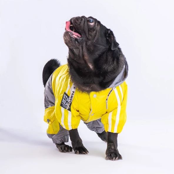 PawStar Sarı Gri Bicolor Tulum Yağmurluk Küçük ve Orta Irk - 3