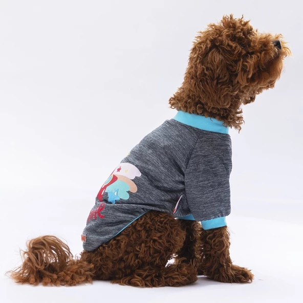 PawStar Füme Shine Küçük Irk Sweat - 3