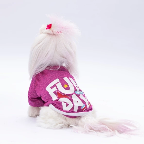 PawStar Fuşya Fun Day Küçük Irk Sweat