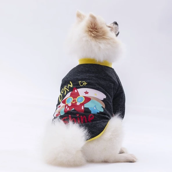 PawStar Siyah Shine Küçük Irk Sweat ürün görseli