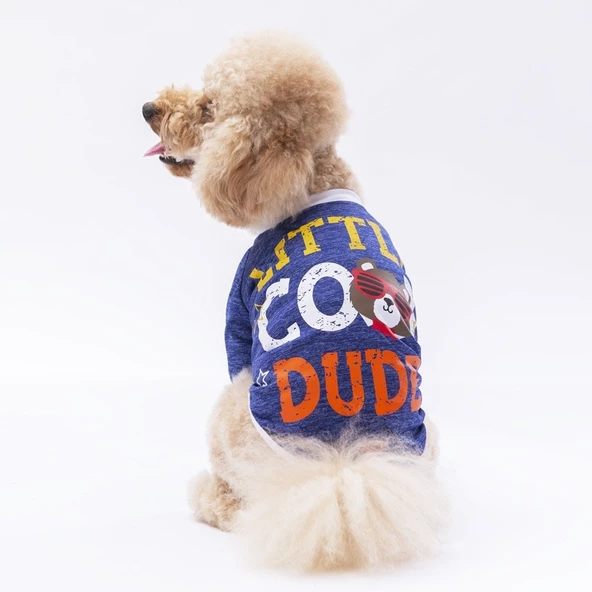 PawStar Mavi Dude Küçük Irk Sweat ürün görseli