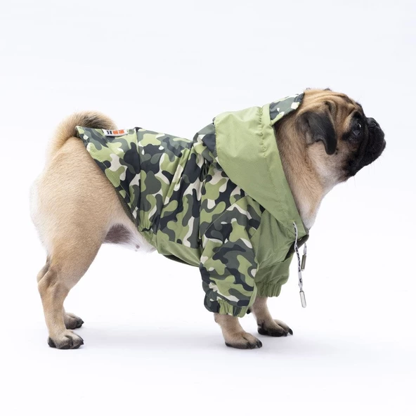 PawStar Yeşil Dijon Yağmurluk Küçük ve Orta Irk - Resim 2