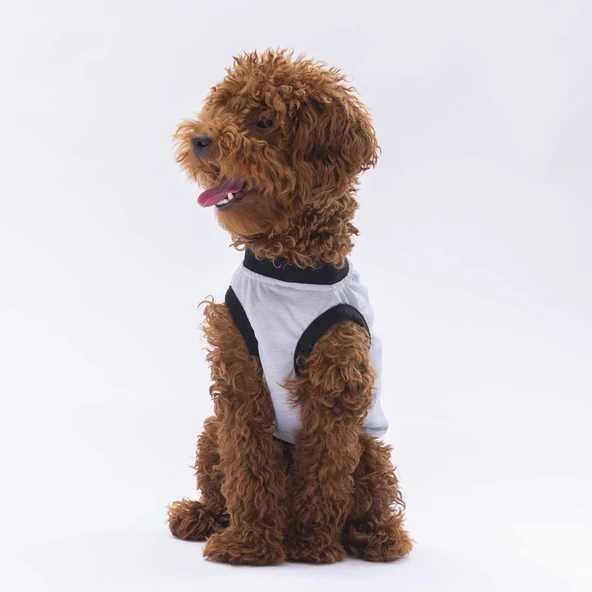 PawStar Gri Travel T-Shirt - 3