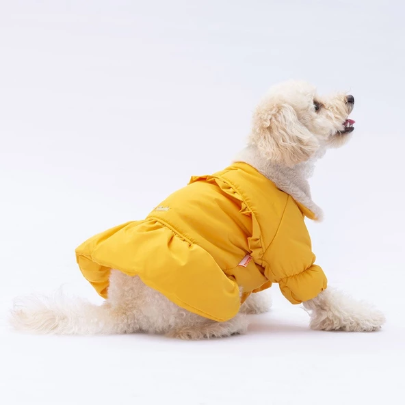 PawStar  Sarı Elizabeth Yağmurluk Küçük ve Orta Irk - Resim 3