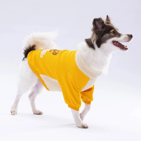 PawStar Sarı Alaska Sweat Küçük ve Orta Irk - 4