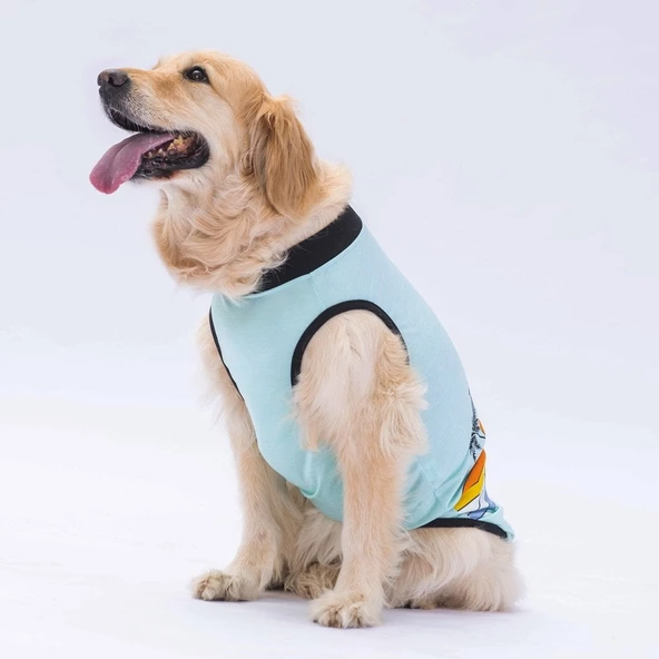 PawStar Mint Sunrise Büyük Irk T-Shirt - 3