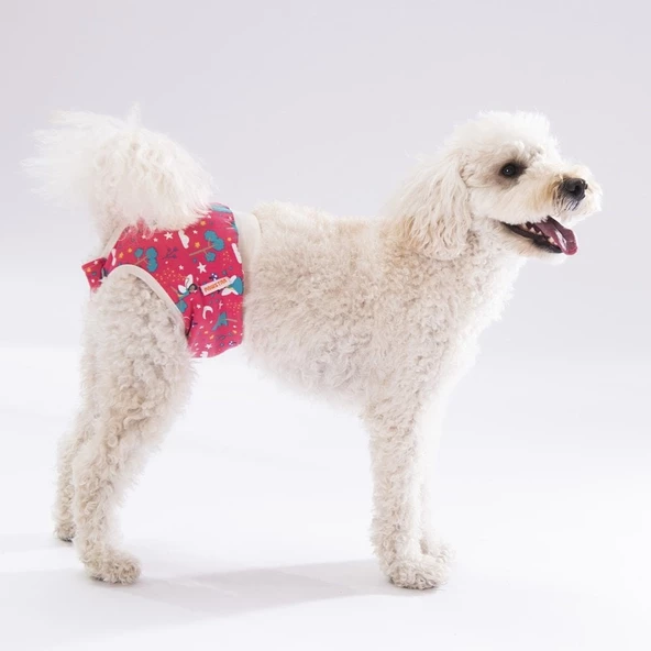 PawStar Mix Çiçekli Çamaşır (Paket de Farklı  Renk ve Desen de 3 Adet Bulunur) - 1