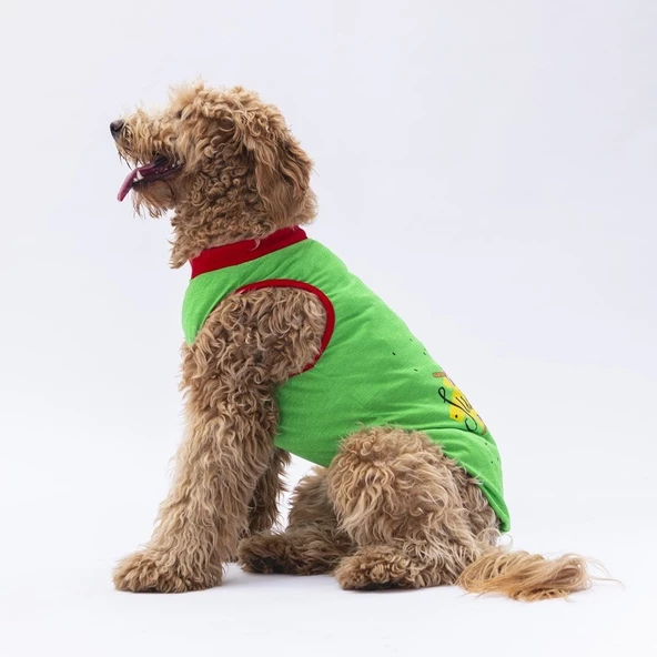 PawStar Yeşil Summer Büyük Irk T-Shirt - Resim 3