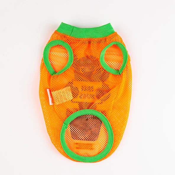 PawStar Cactus Mesh T-Shirt - Resim 4