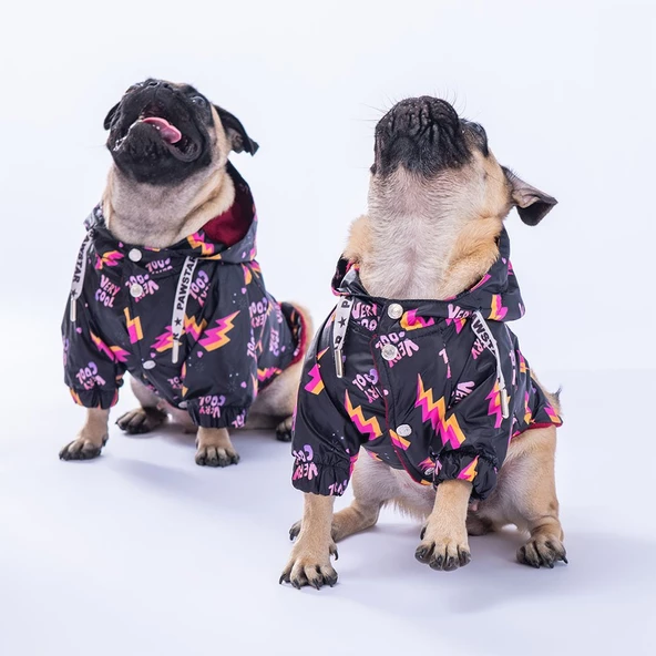 PawStar Cool Yağmurluk Küçük ve Orta Irk - 2