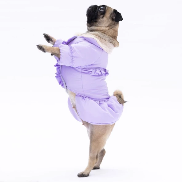 PawStar  Lila Elizabeth Yağmurluk Küçük ve Orta Irk - 4