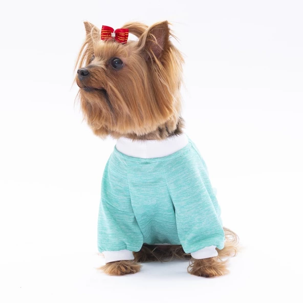 PawStar Mint Fun Day Küçük Irk Sweat - 3