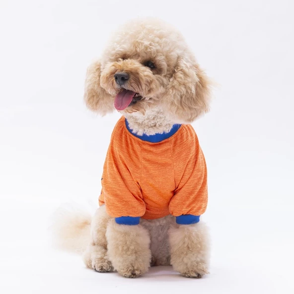 PawStar Turuncu Everything Will Be Okay Küçük Irk Sweat - Resim 2