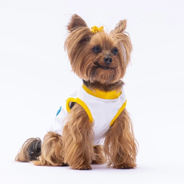 PawStar Happy Birthday Tişört - 3